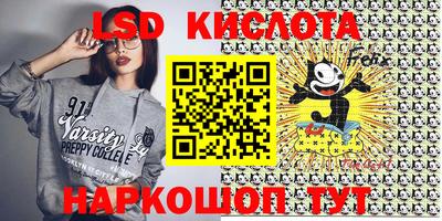 крисы Кандалакша