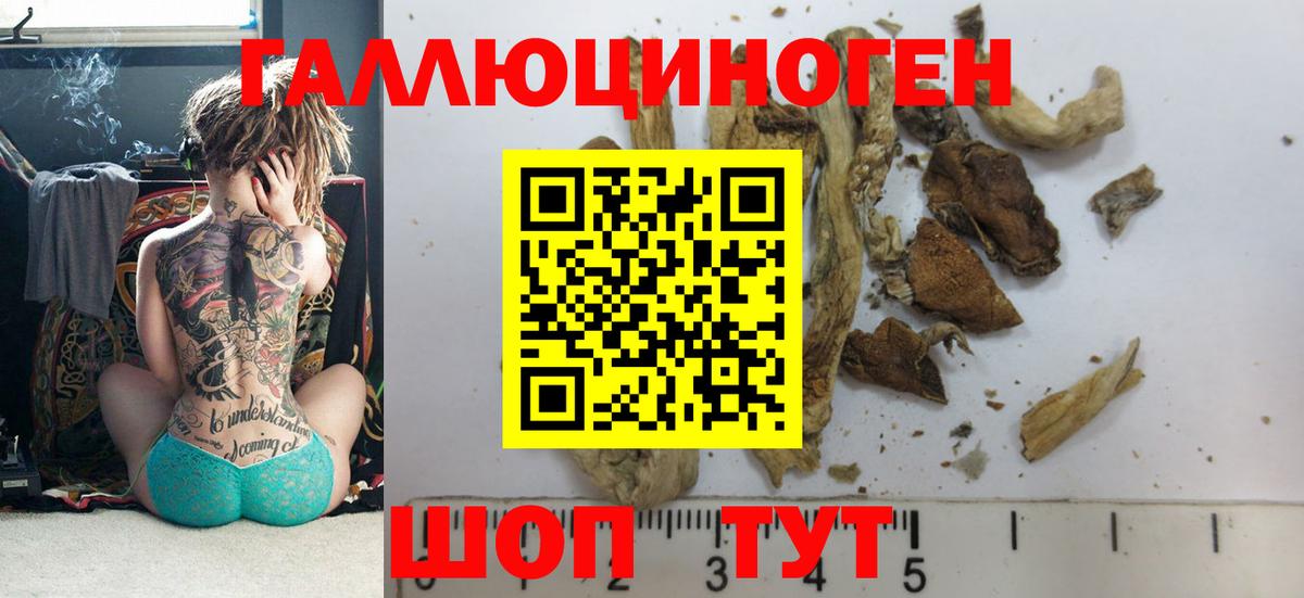 Галлюциногенные грибы Cubensis  купить   Энгельс  Вход с VPN 